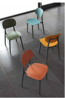 Sedia plastica Flycolor