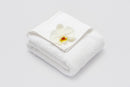 Telo doccia in spugna 70x140cm | 100% cotone | 40pz | 7,70€ cad.